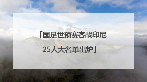 国足世预赛客战印尼25人大名单出炉