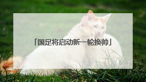 国足将启动新一轮换帅