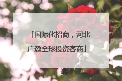 国际化招商，河北广邀全球投资客商