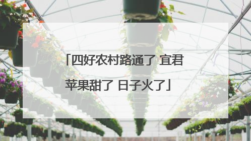 四好农村路通了 宜君苹果甜了 日子火了