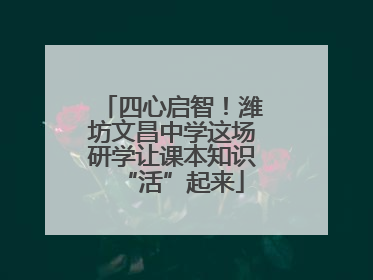 四心启智！潍坊文昌中学这场研学让课本知识“活”起来