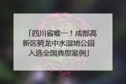 四川省唯一！成都高新区骑龙中水湿地公园入选全国典型案例