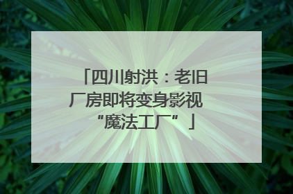 四川射洪：老旧厂房即将变身影视“魔法工厂”