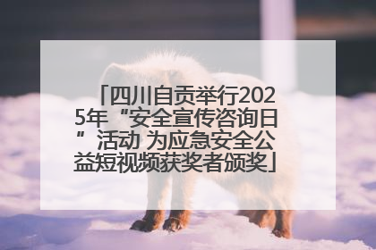四川自贡举行2025年“安全宣传咨询日”活动 为应急安全公益短视频获奖者颁奖