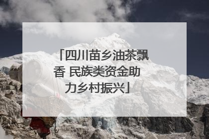 四川苗乡油茶飘香 民族类资金助力乡村振兴