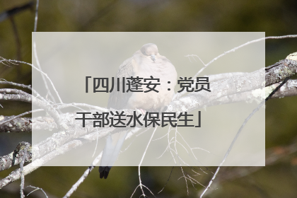 四川蓬安：党员干部送水保民生