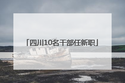 四川10名干部任新职