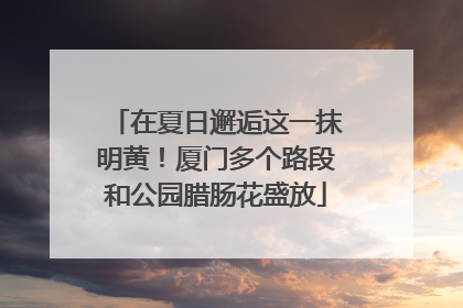 在夏日邂逅这一抹明黄！厦门多个路段和公园腊肠花盛放