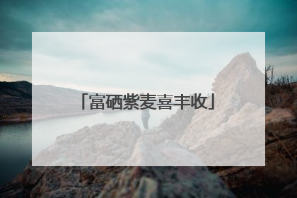 富硒紫麦喜丰收