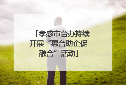 孝感市台办持续开展“惠台助企促融合”活动