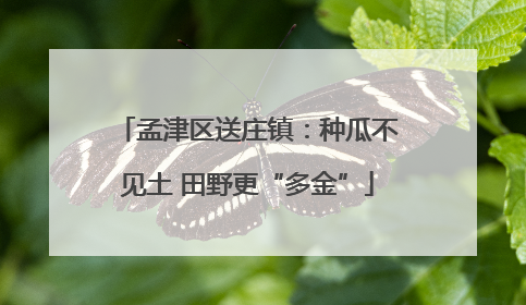 孟津区送庄镇：种瓜不见土 田野更“多金”