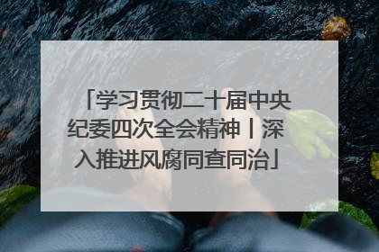 学习贯彻二十届中央纪委四次全会精神丨深入推进风腐同查同治