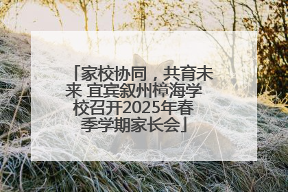 家校协同，共育未来 宜宾叙州樟海学校召开2025年春季学期家长会