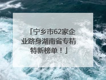 宁乡市62家企业跻身湖南省专精特新榜单！