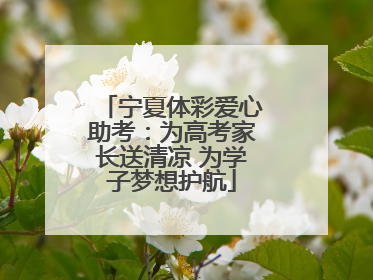 宁夏体彩爱心助考：为高考家长送清凉 为学子梦想护航