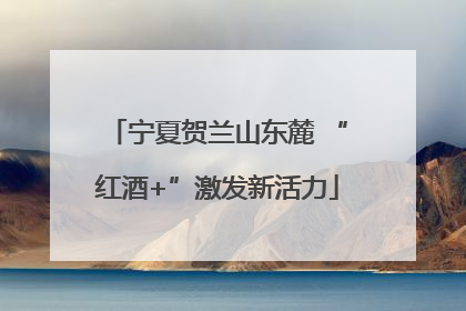 宁夏贺兰山东麓 “红酒+”激发新活力
