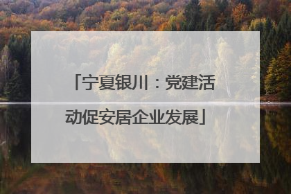 宁夏银川：党建活动促安居企业发展