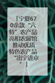 宁夏670余款“六特”农产品亮相农展馆 推动优质特色农产品“出宁进京”