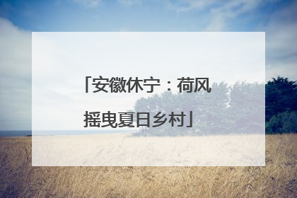 安徽休宁：荷风摇曳夏日乡村