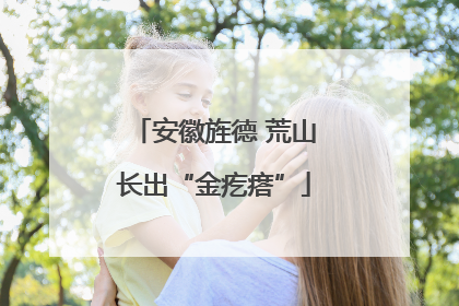 安徽旌德 荒山长出“金疙瘩”