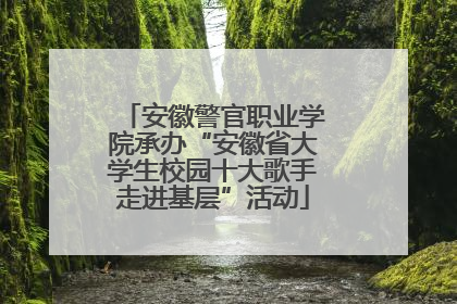 安徽警官职业学院承办“安徽省大学生校园十大歌手走进基层”活动