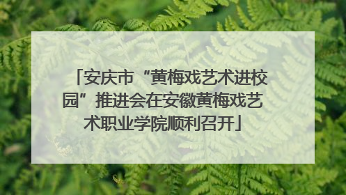 安庆市“黄梅戏艺术进校园”推进会在安徽黄梅戏艺术职业学院顺利召开