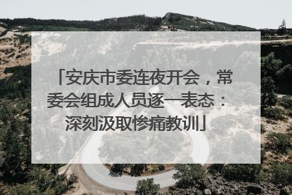 安庆市委连夜开会，常委会组成人员逐一表态：深刻汲取惨痛教训