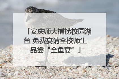 安庆师大捕捞校园湖鱼 免费宴请全校师生品尝“全鱼宴”