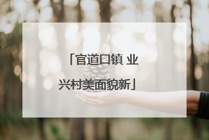 官道口镇 业兴村美面貌新