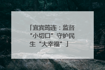 宜宾筠连：监督“小切口”守护民生“大幸福”