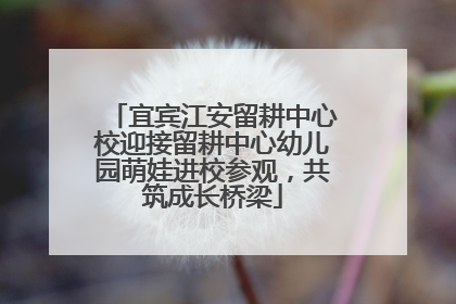 宜宾江安留耕中心校迎接留耕中心幼儿园萌娃进校参观，共筑成长桥梁