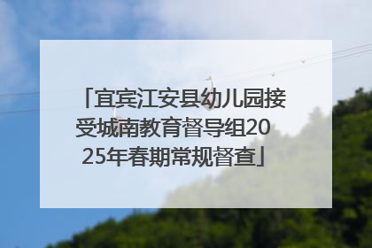 宜宾江安县幼儿园接受城南教育督导组2025年春期常规督查