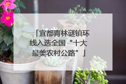 宜都青林谜镇环线入选全国“十大最美农村公路”
