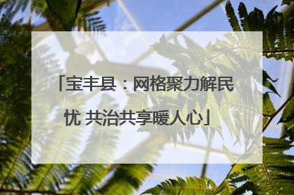 宝丰县：网格聚力解民忧 共治共享暖人心