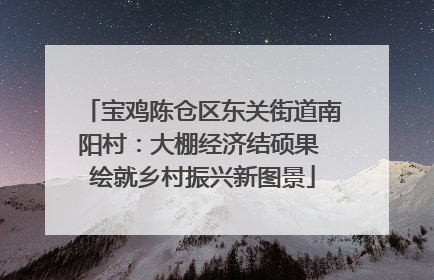 宝鸡陈仓区东关街道南阳村：大棚经济结硕果 绘就乡村振兴新图景