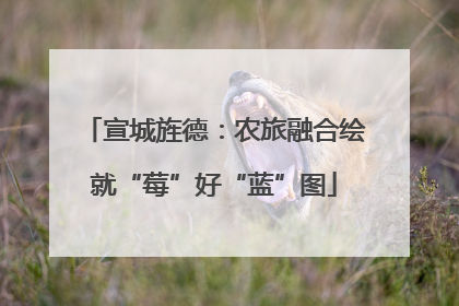 宣城旌德：农旅融合绘就“莓”好“蓝”图