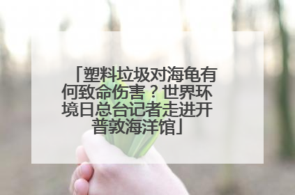 塑料垃圾对海龟有何致命伤害？世界环境日总台记者走进开普敦海洋馆