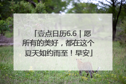壹点日历6.6｜愿所有的美好，都在这个夏天如约而至！早安