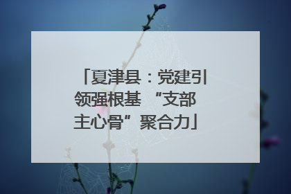 夏津县：党建引领强根基 “支部主心骨”聚合力