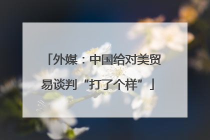 外媒：中国给对美贸易谈判“打了个样”