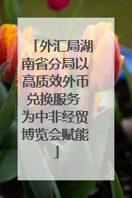 外汇局湖南省分局以高质效外币兑换服务 为中非经贸博览会赋能