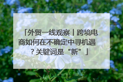 外贸一线观察丨跨境电商如何在不确定中寻机遇？关键词是“新”