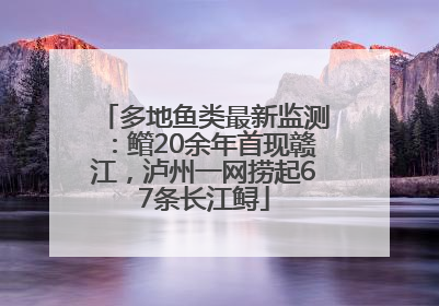 多地鱼类最新监测：鳤20余年首现赣江，泸州一网捞起67条长江鲟