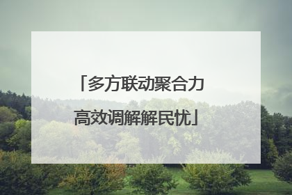 多方联动聚合力 高效调解解民忧