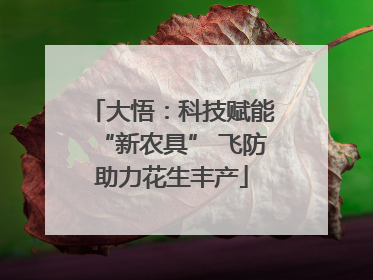大悟：科技赋能“新农具” 飞防助力花生丰产