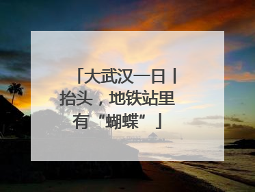 大武汉一日丨抬头，地铁站里有“蝴蝶”