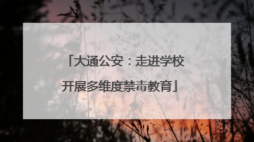 大通公安：走进学校开展多维度禁毒教育