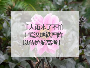 大雨来了不怕！武汉地铁严阵以待护航高考