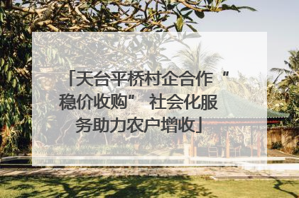 天台平桥村企合作“稳价收购” 社会化服务助力农户增收
