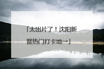 太出片了！沈阳新晋热门打卡地→